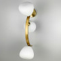 Зображення Вражаючий стіновий світильник MODERN FLORAL ARCH на 3 плафони ИМ Light-Deco 7 