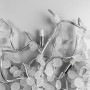 Зображення Бра в хромі з матовими монетками ИМ Light-Deco 2 