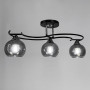 Зображення Люстра стельова Light House LNF-17483/3 BK чорна, плафон графітовий  ИМ Light-Deco 1 
