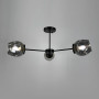 Зображення Сучасна стельова люстра в чорному корпусі на 3 плафони ИМ Light-Deco 3 