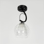 Изображение Люстра потолочная Light House LNF-17523/1С BK черная с двойным плафоном ИМ Light-Deco 