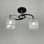 Зображення Люстра стельова Light House LNF-17504/2С BK чорна ИМ Light-Deco 