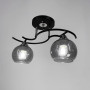Зображення Люстра стельова Light House LNF-17483/2 BK чорна, плафон графітовий  ИМ Light-Deco 3 