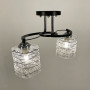 Зображення Люстра стельова Light House LNF-17504/2С BK чорна ИМ Light-Deco 1 