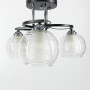Изображение Люстра потолочная Light House LNF-17523/3С BK черная с двойным плафоном ИМ Light-Deco 