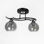 Зображення Люстра стельова Light House LNF-17483/2 BK чорна, плафон графітовий  ИМ Light-Deco 