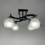 Зображення Люстра стельова Light House LNF-17410/4 чорний ИМ Light-Deco 