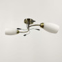 Изображение Люстра потолочная Light House LNF-17490/2 AB бронза ИМ Light-Deco 3 