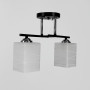 Изображение Люстра потолочная Light House LNF-17533/2С BK черная ИМ Light-Deco 