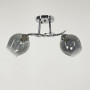 Зображення Люстра стельова Light House LNF-17508/2 CH+GR хром із графітовим плафоном ИМ Light-Deco 