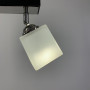 Зображення Світильник в чорному або білому корпусі на 2 плафони ИМ Light-Deco 