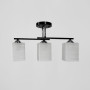 Зображення Люстра стельова Light House LNF-17533/3С BK чорна ИМ Light-Deco 5 