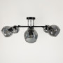 Зображення Люстра стельова Light House LF-17374/6 CH+BK+GR з графітовими плафонами ИМ Light-Deco 1 
