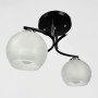 Зображення Стельова люстра в чорному корпусі на 2 плафони 40х16 см ИМ Light-Deco 