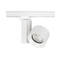 Изображение Трековый светильник Nowodvorski 8748 Ctls Nea LED 10W 3000K 3600Lm IP20 Wh ИМ Light-Deco 