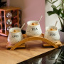 Зображення Набор банок для чая и кофе объемом 500 мл HP-1214 ИМ Light-Deco 4 