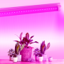 Зображення LED FITO світильник лінійний VIDEX T8 0,6М 10W ИМ Light-Deco 3 