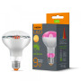 Зображення LED лампа VIDEX Filament R80FF 09W E27 1200K ИМ Light-Deco 