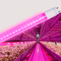 Изображение LED FITO лампа VIDEX T8F 9W 0.6M ИМ Light-Deco 3 