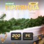 Изображение Хвойная литая гирлянда 2 м зеленая ветки елки TD-BRNCHGR2 ИМ Light-Deco 2 
