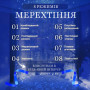 Изображение Гирлянда штора 2х2 м 240 LED светодиодная медный провод 8 нитей Синий ZWM2240LEDBL ИМ Light-Deco 6 