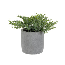 Штучна рослина чебрець зелений 19х10х10 см (шовк штучний/ пластик/ цемент)