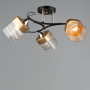 Зображення Люстра стельова Light House SRS-19070/3 чорна + золото, золото плафон з прозорим ИМ Light-Deco 