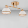 Зображення Люстра стельова Light House SRS-19018/2 золото, плафони білі ИМ Light-Deco 1 