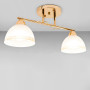 Зображення Люстра стельова Light House SRS-19018/2 золото, плафони білі ИМ Light-Deco 2 