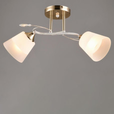 Люстра стельова Light House SRS-19239/2 золото + білий
