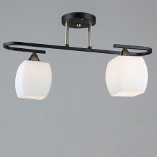 Люстра стельова декоративна Light House SRS-19296/2 BK+FGD чорний + золото, плафон білий 