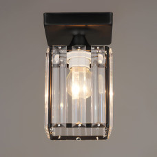 Люстра стельова Light House SR-19612/1H BK D100*H170 чорна, плафон прозорий 