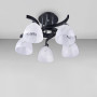 Изображение Люстра потолочная Light House SH-18517/5 BK 560*560*250 черная + хром, плафон белый ИМ Light-Deco 5 