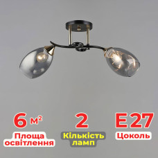 Люстра стельова Light House SR-19353/2 COFFEE-FGD L500*W190*H250 E27 чорний + золото, плафон димчастий