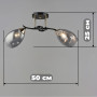 Изображение Люстра потолочная Light House SR-19353/2 COFFEE-FGD L500*W190*H250 E27 черный + золото, плафон дымчатый ИМ Light-Deco 1 