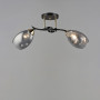 Изображение Люстра потолочная Light House SR-19353/2 COFFEE-FGD L500*W190*H250 E27 черный + золото, плафон дымчатый ИМ Light-Deco 5 