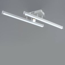 Люстра потолочная светодиодная LED Light House SRS-20010/2+1 WT+GD 20W+2W белый + золото 