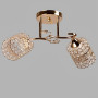 Зображення Люстра стельова Light House SR-20431/2 FG L460*W200*H240 золото ИМ Light-Deco 