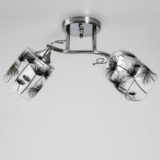 Люстра стельова Light House SR-20434/2 CH L480*W300*H240 хром, плафон прозорий з малюнком