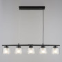 Зображення Люстра підвісна Light House SRS-20655/5 чорна, плафони прозорі  ИМ Light-Deco 1 