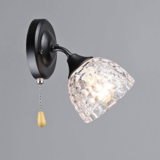 Настенный светильник Бра Light House SRS-20631/1W черный, плафон прозрачный