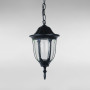 Зображення Вуличний підвісний світильник Light House LS-18909-S-PL BK чорний ИМ Light-Deco 1 