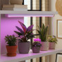 Изображение Светодиодний линейный светильник Feron AL7002-1 20Вт фито ИМ Light-Deco 1 