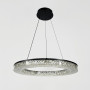 Зображення Чорна кільцева люстра з епоксидною смолою Ø 60 см ИМ Light-Deco 4 
