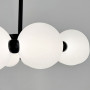 Изображение Люстра потолочная Led кольцо LNF-17551/510 BK 25 Вт Ø 50 см черная с полимерными плафонами ИМ Light-Deco 1 