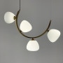 Зображення Вражаюча люстра MODERN FLORAL ARCH на 5 плафонів ИМ Light-Deco 
