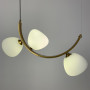 Зображення Вражаюча люстра MODERN FLORAL ARCH на 3 плафони ИМ Light-Deco 