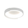 Зображення Люстра стельова світлодіодна, смарт світильник LED Levistella 781C3167 (500) WH білий ИМ Light-Deco 1 