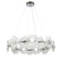 Зображення Люстра 7989249-14 led (800) CH ИМ Light-Deco 