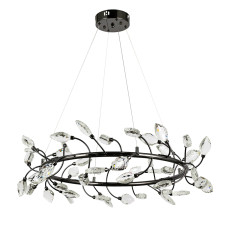 Люстра 7989300-48 led (800) PLBK